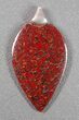 Red Agatized Dinosaur Bone Shield Pendant #5255-4
